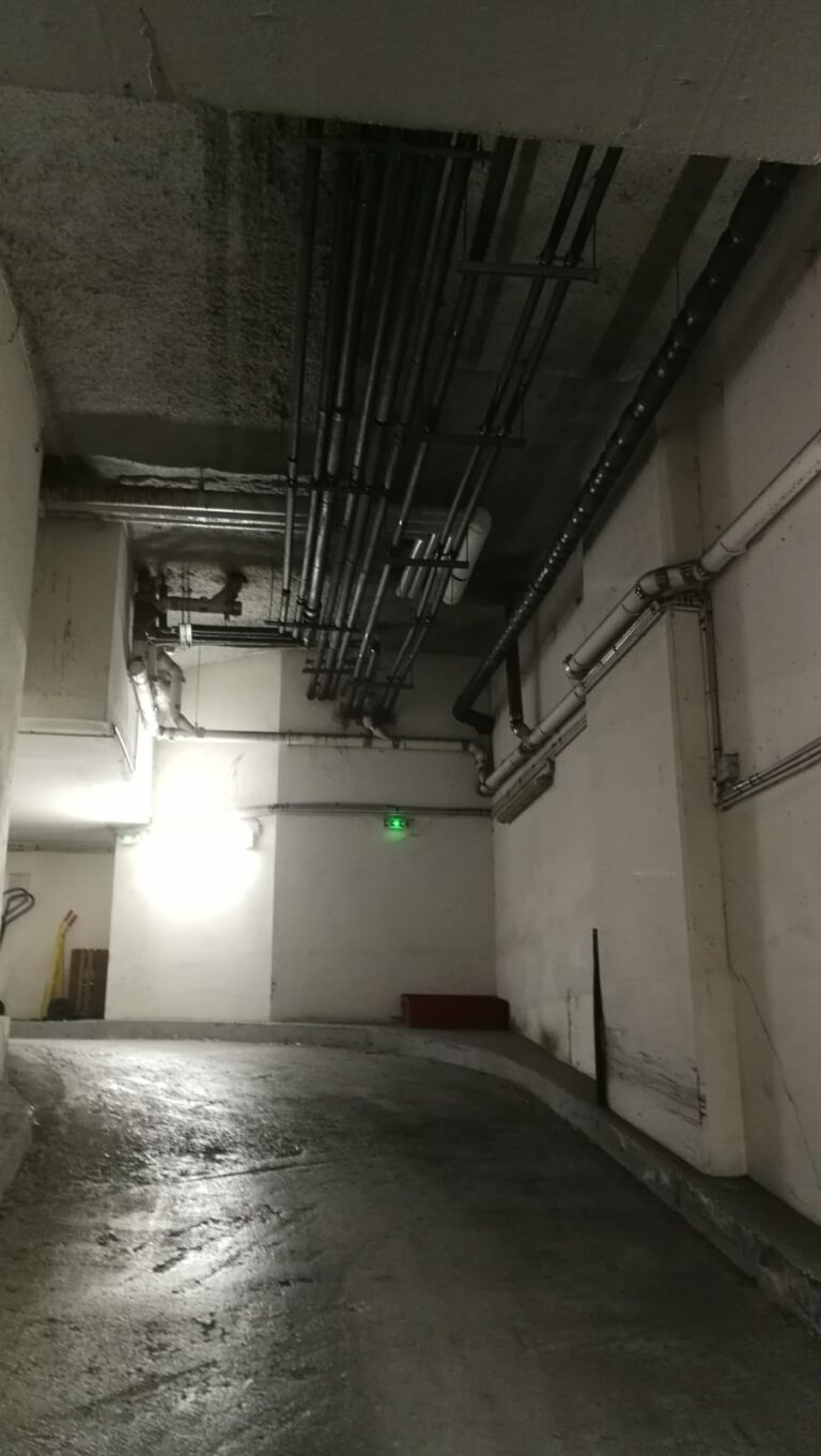 WhatsApp Image 2024 02 02 a 18.37.49 1ebe79dc