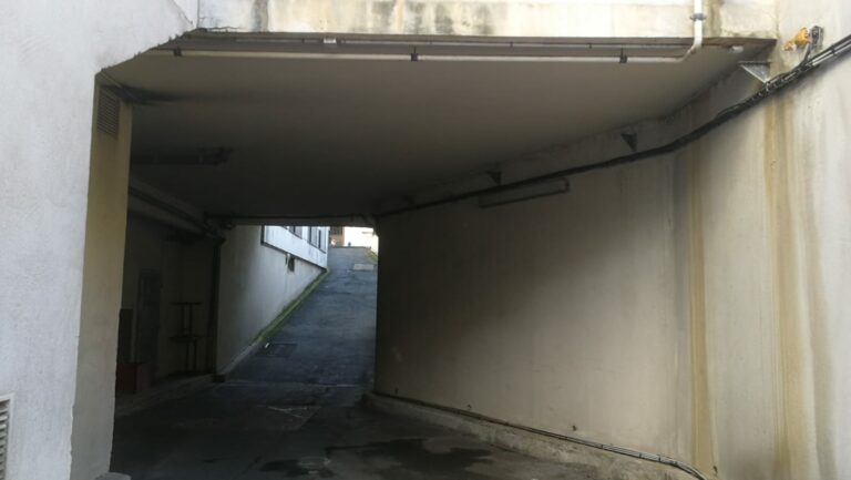 WhatsApp Image 2024 02 02 a 18.37.49 de7f67e2