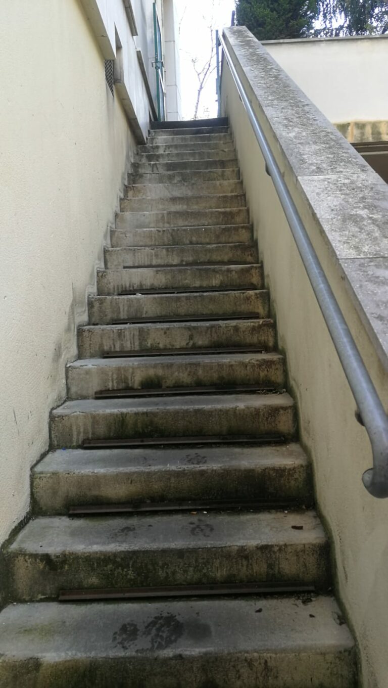 WhatsApp Image 2024 02 02 a 18.37.51 a9086637